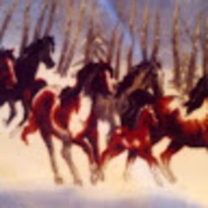 Meet your Posher, Sherrianne